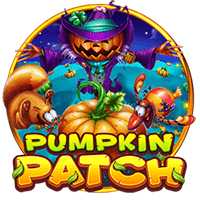 Demo Pumpkin Patch