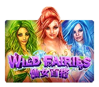 DEMO WILD FAIRIES